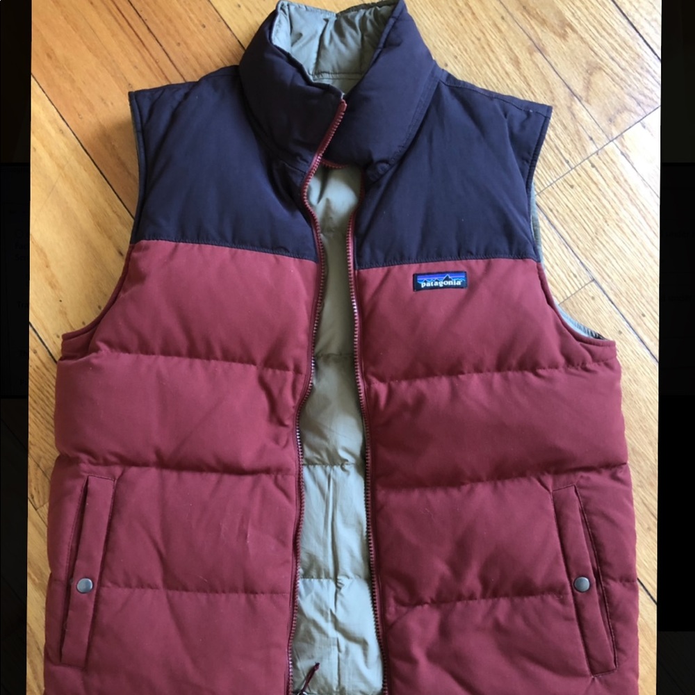 Patagonia down vest Bivy